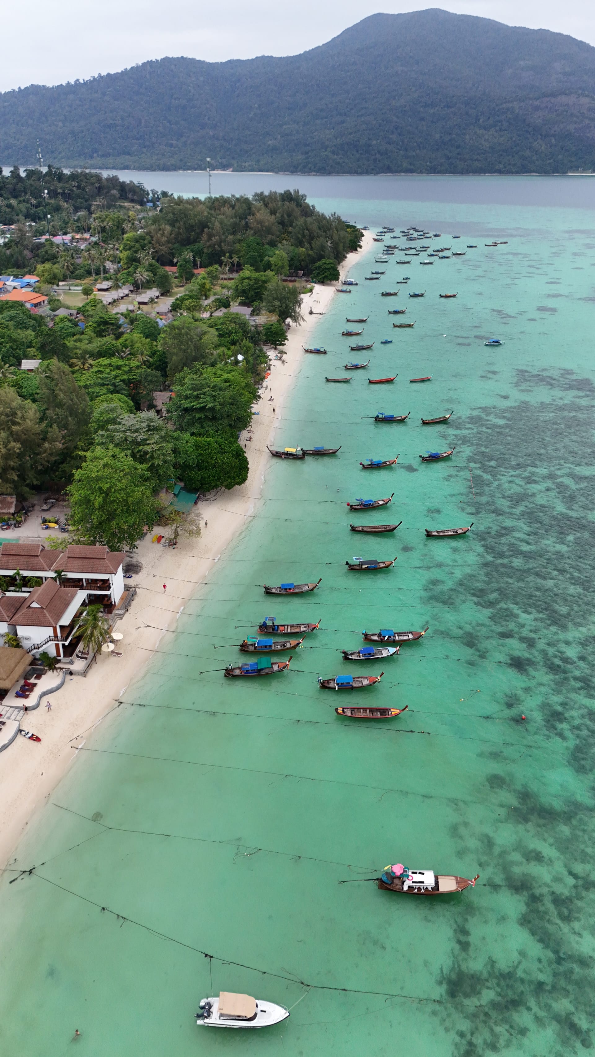 Aerial view of longtail tour boats lined up along Koh Lipe beach, turquoise Andaman waters, Satun, Thailand