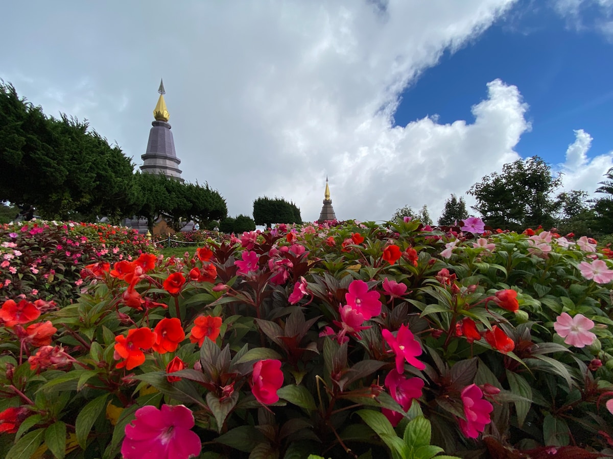 Twin royal chedis surrounded by flower gardens at the summit of Doi Inthanon National Park, Chiang Mai