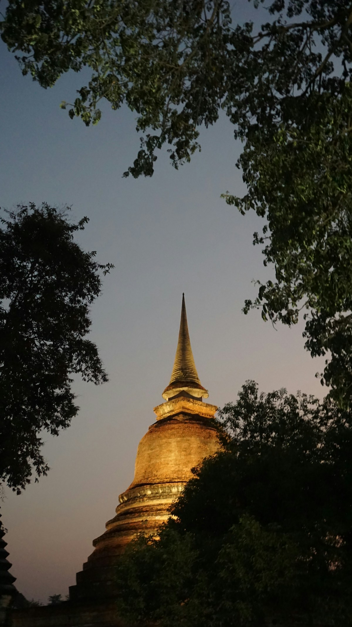 Ancient chedi illuminated at dusk, seen through tree canopy, Sukhothai Historical Park, Thailand