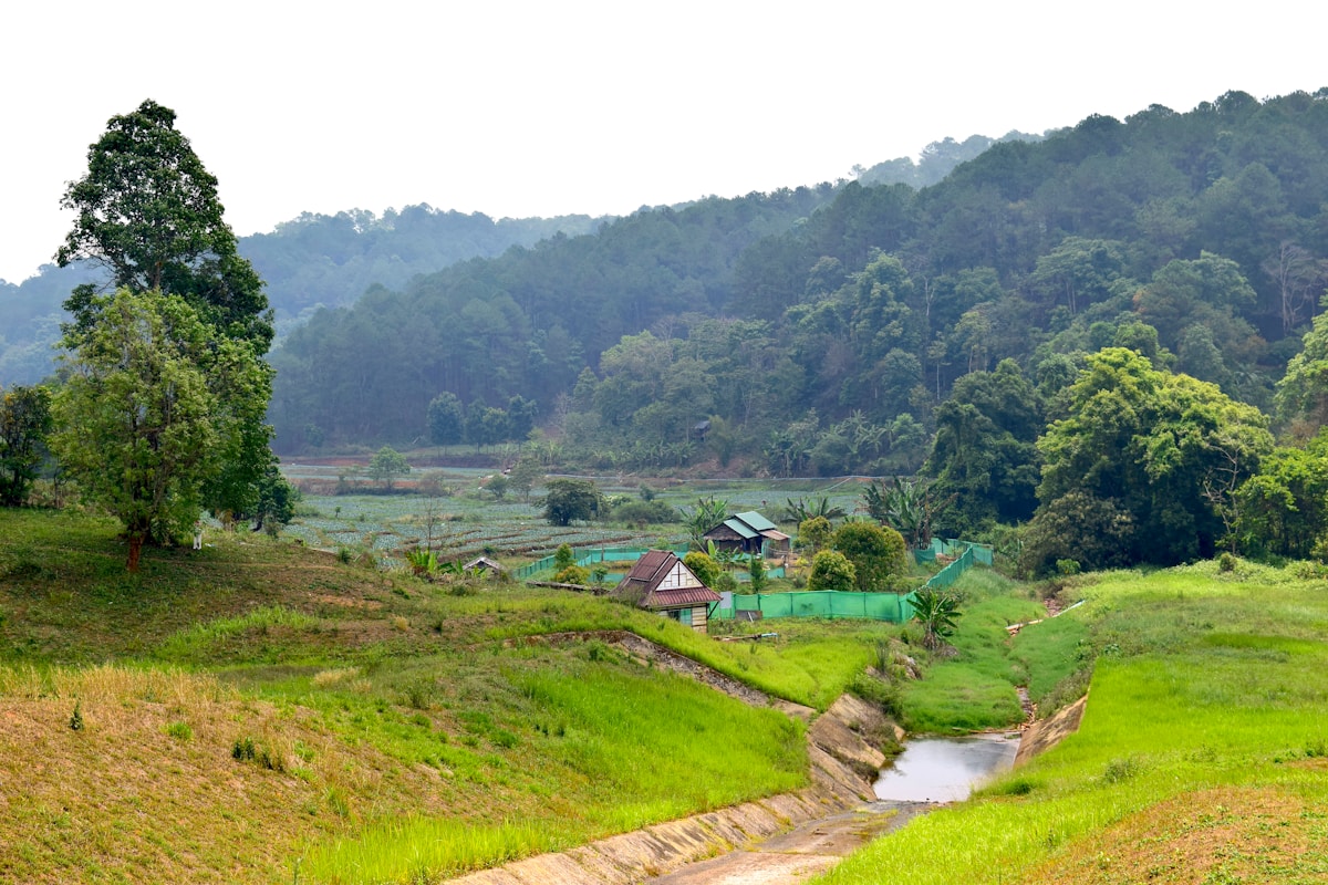 Gilded pagoda on stilts over misty lake in Mae Hong Son, northern Thailand