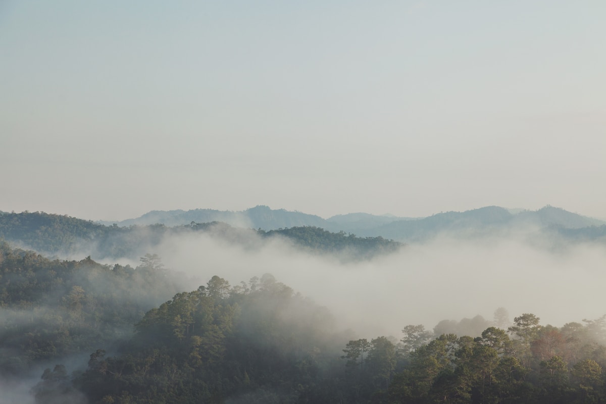 Pai Canyon at golden hour with red rock formations and forested valley