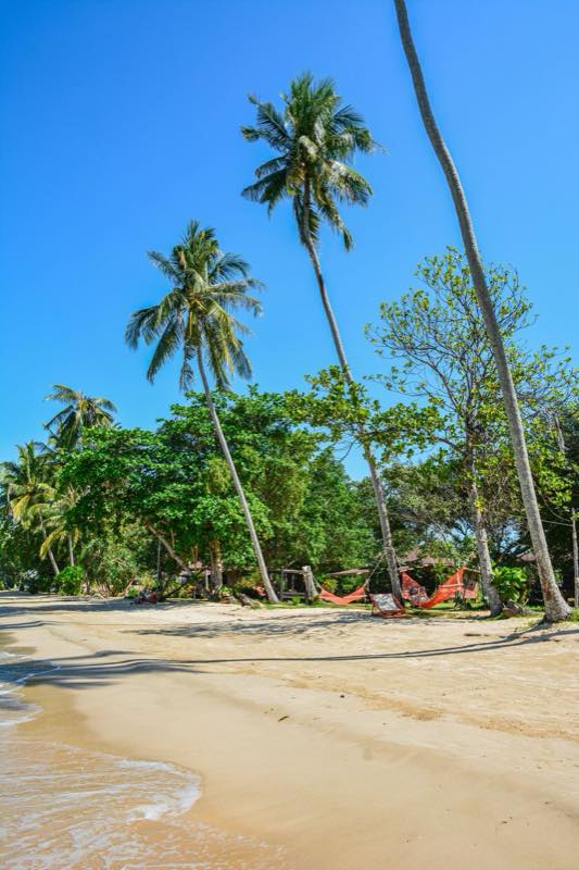 Une plage bordée de palmiers avec des hamacs dans l'archipel de Trat