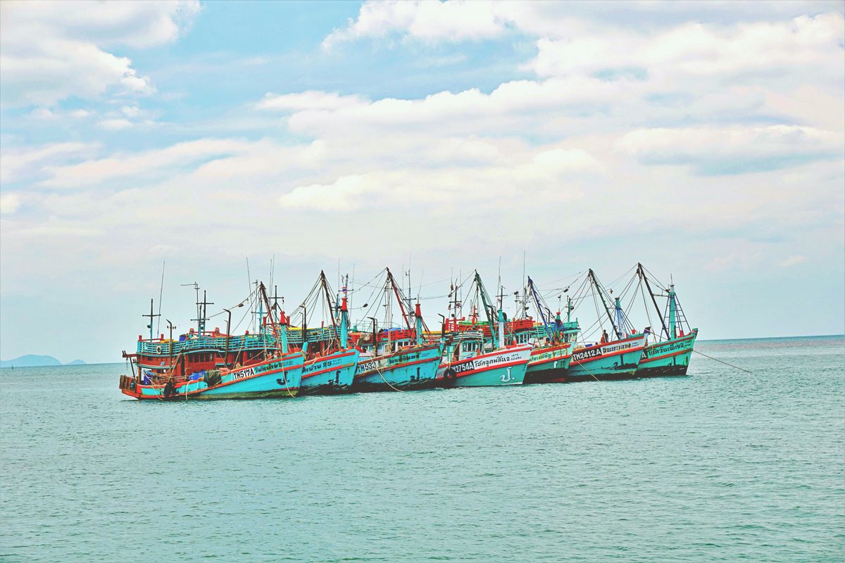Bateaux de pêche à l'ancre dans le golfe de Thaïlande