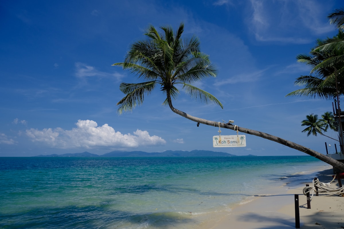 White sand beach with clear turquoise water and palm trees on Koh Samui