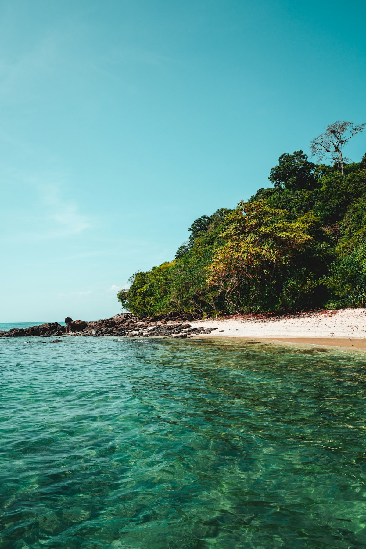 Clear turquoise water lapping a secluded beach with lush jungle, Koh Lanta, Krabi, Thailand