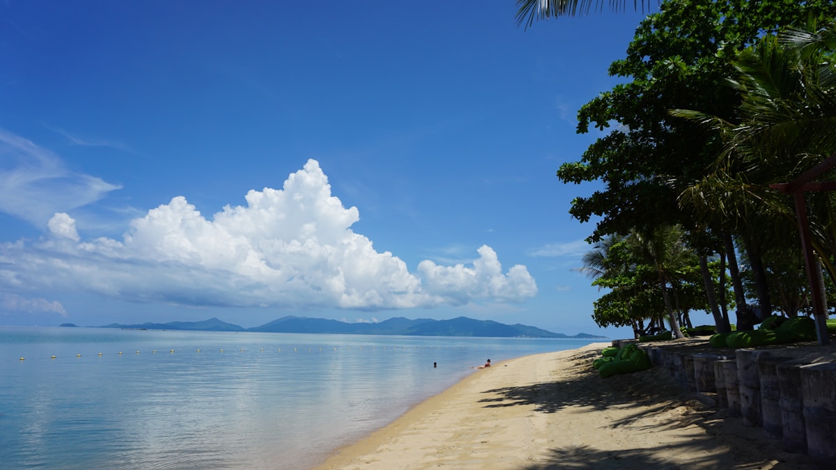 Palm trees leaning over white sand beach on Koh Samui