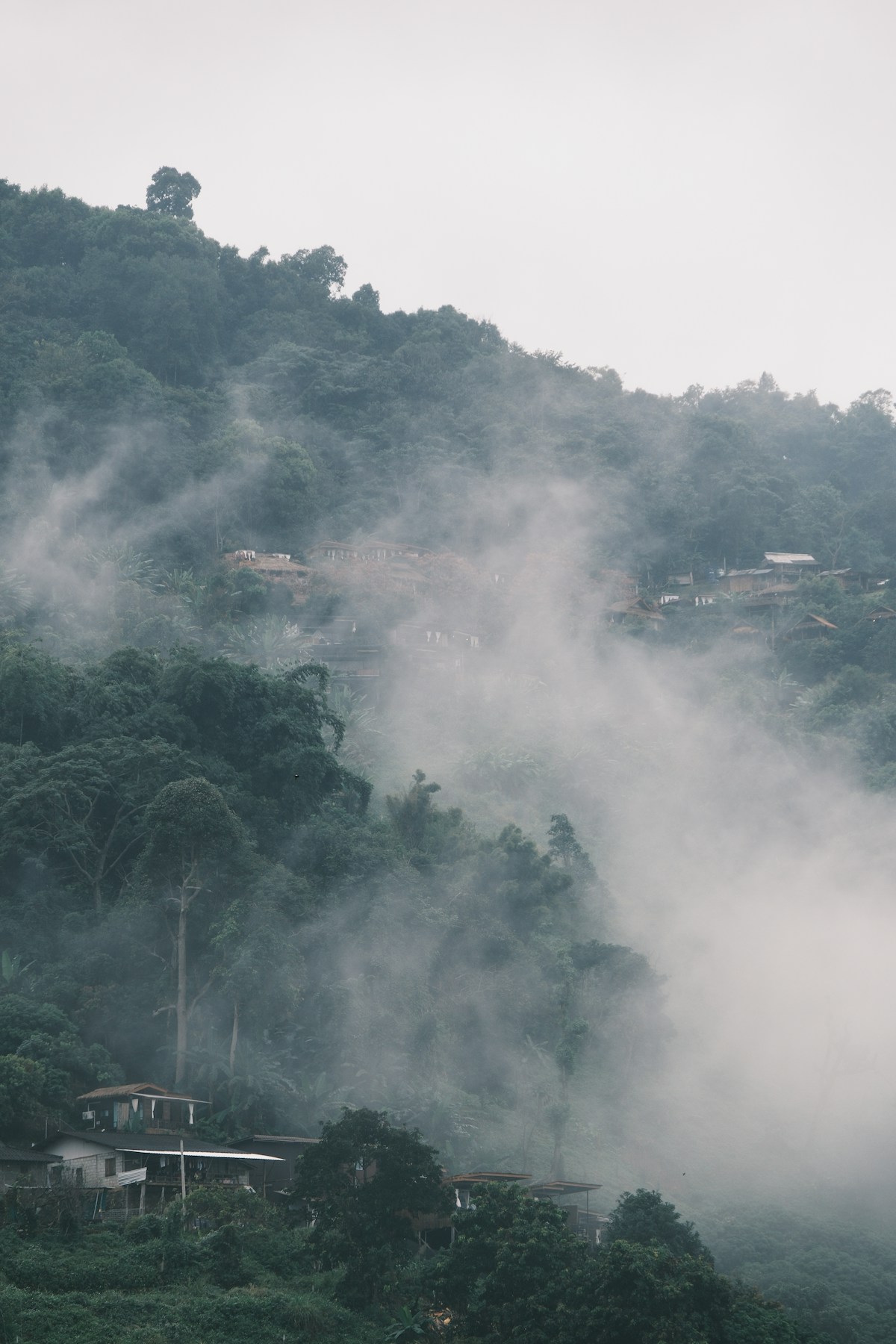 Misty morning over a hillside village in dense jungle, northern Thailand highlands